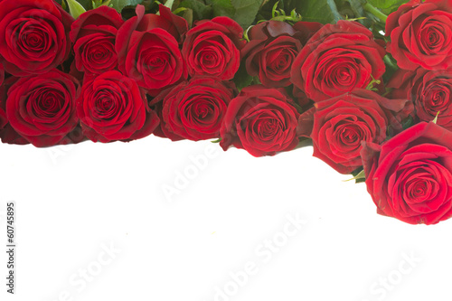 border of fresh red   roses