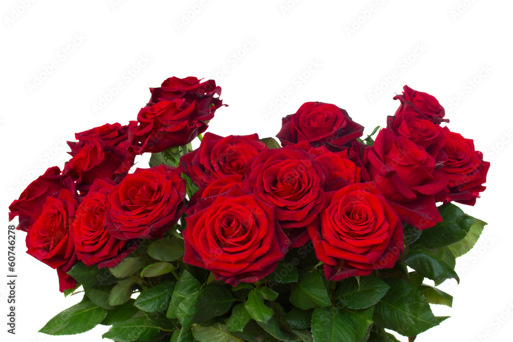 bunch of dark red roses close up bunch of dark red roses close up