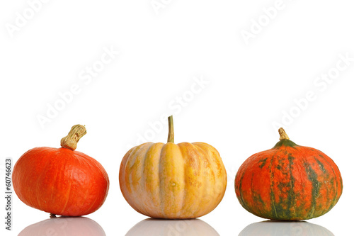 pumpkins © MariaBobrova