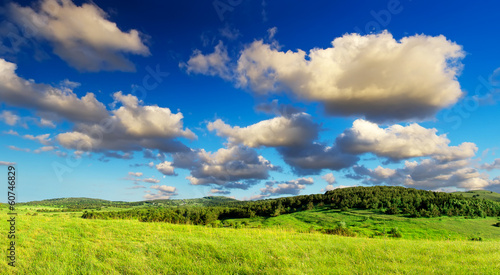 Field and cloudy sky. Natural summer landscape