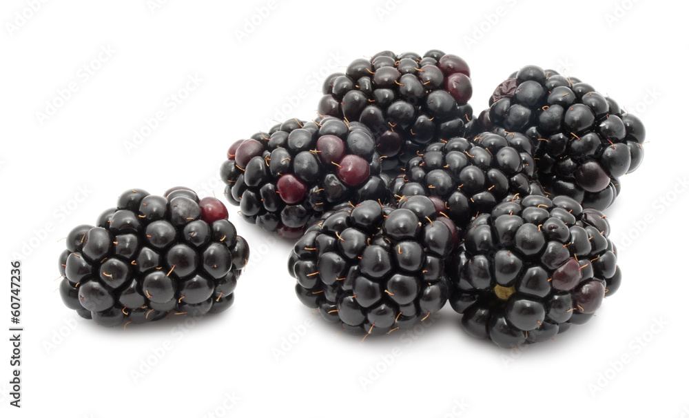 Blackberry Blackberry