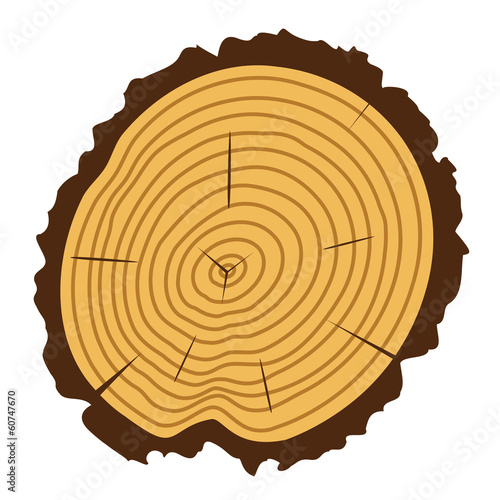 vector wooden cut of a tree log