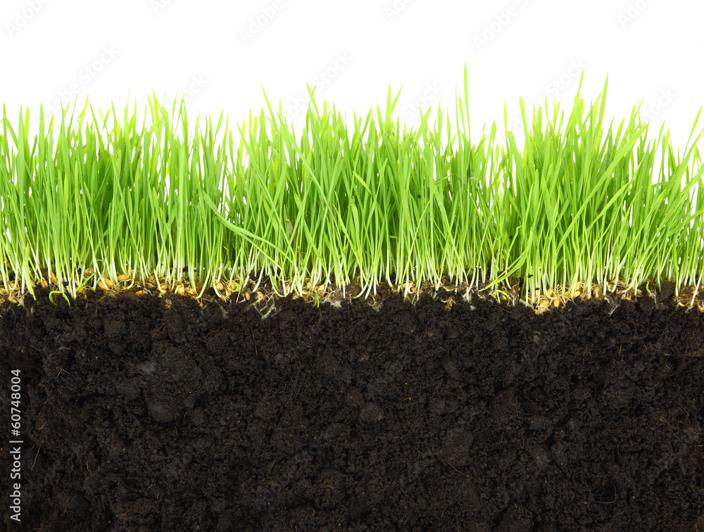 Naklejka premium Cross-section of soil and grass isolated on white background