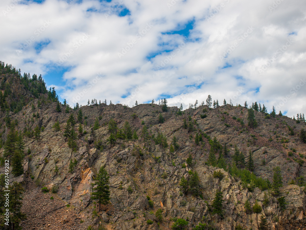 Cloudy Skies and Evergreen Trees on a Steep, Rocky Mountainside
