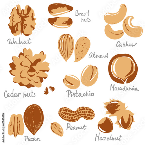 nuts
