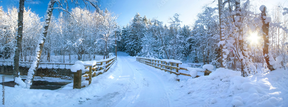 Fototapeta premium Panoramic view to bridge in winter