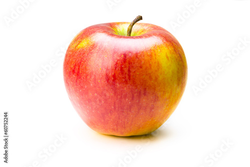 Colored apple on white background