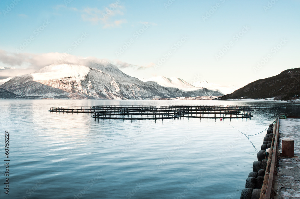 Naklejka premium Fish farms in northern Norway