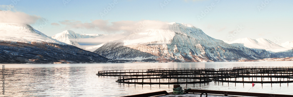 Fototapeta premium Fish farms in north Norway 3/1 Ratio