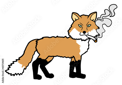 Smoking fox