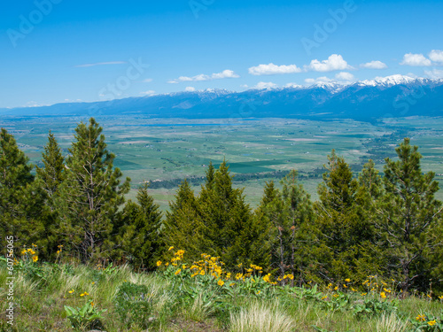 Mountain and Valley View from the Natl Bison Refuge MT USA photo