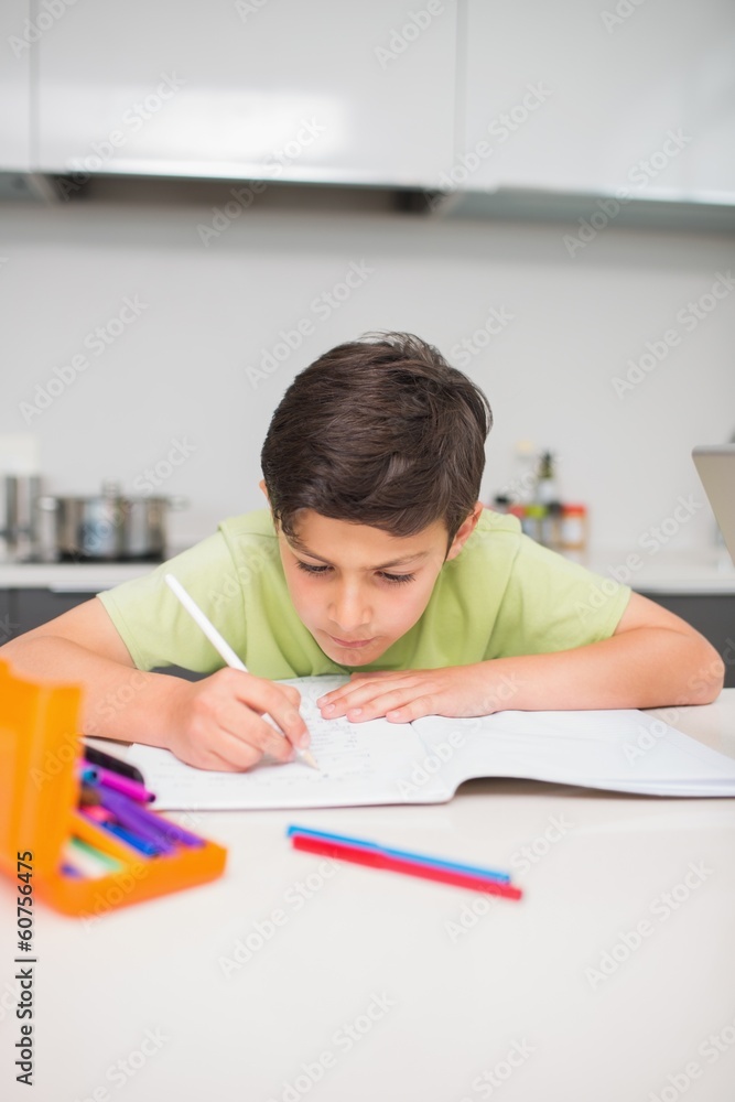 Concentrated boy doing homework in kitchen Concentrated boy doing homework in kitchen