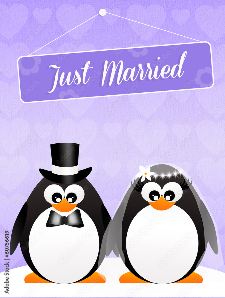 Naklejka premium Wedding of penguins
