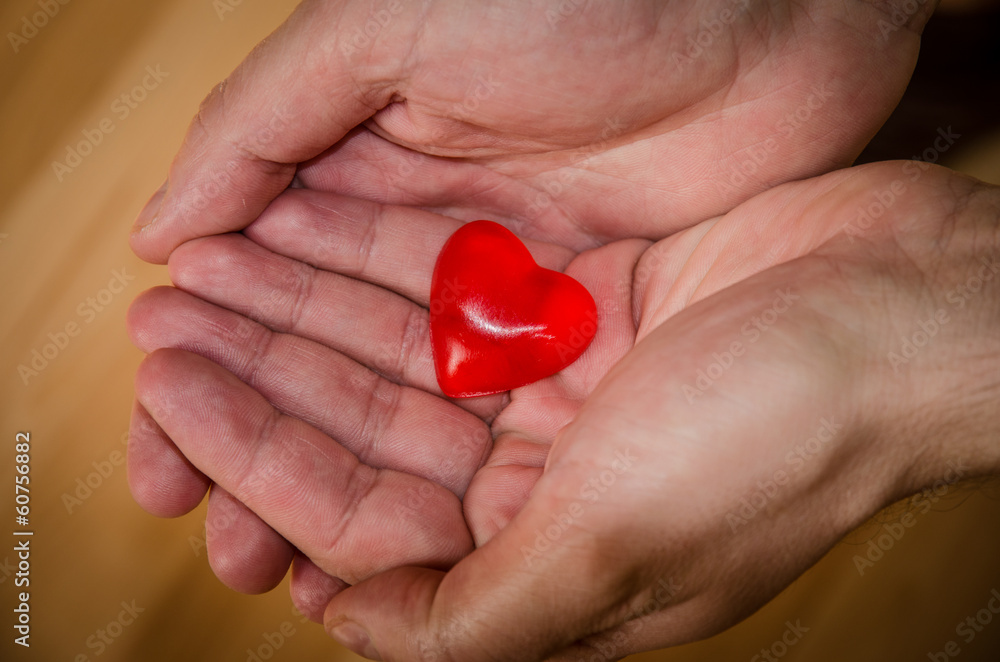 Fototapeta premium red heart in hand