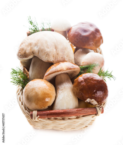 Ceps in the basket