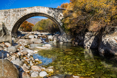 Under a Roman bridge from Jarandilla with forest background