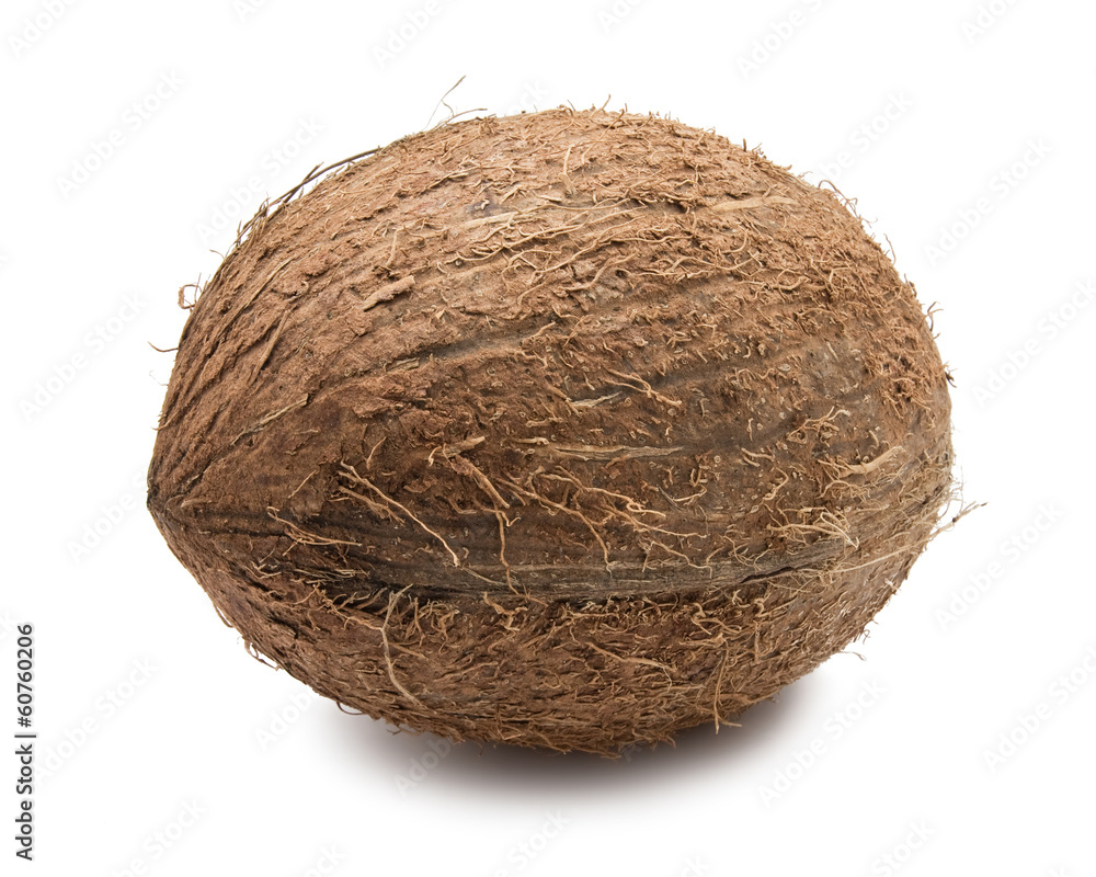 Coconut Coconut