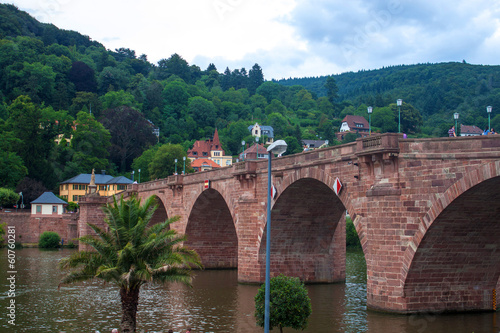 Old bridge in Heidelberg