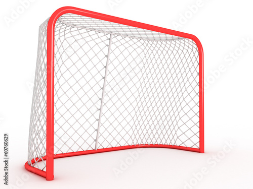 Hockey gate.