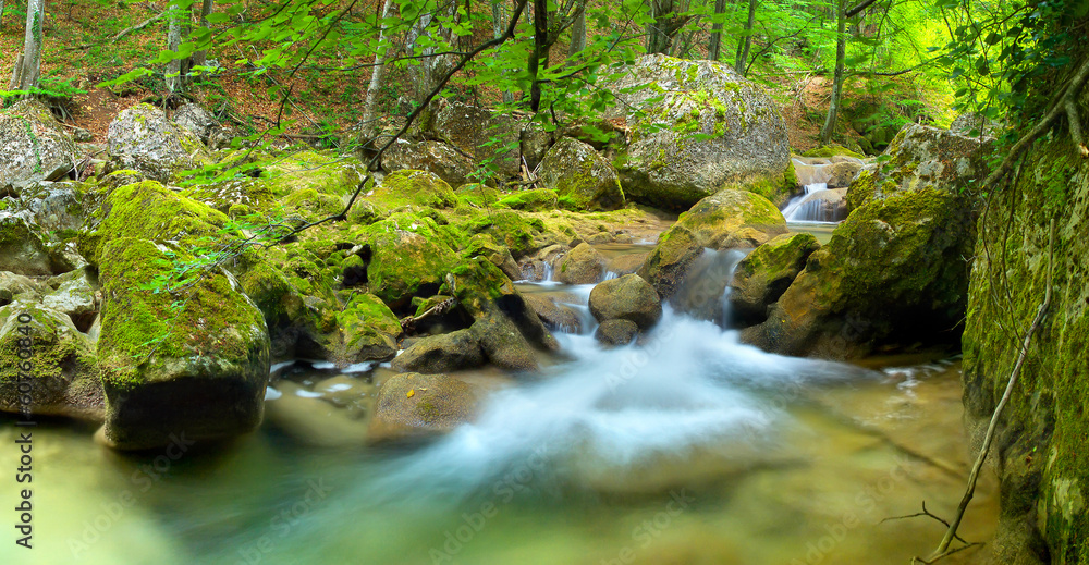 River in the summer canyon. River in the summer canyon.