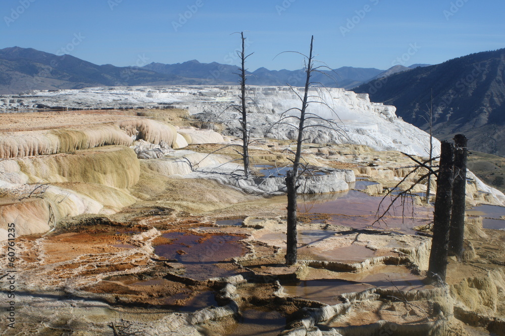 Obraz premium pozze di acqua nel deserto americano, yellowstone