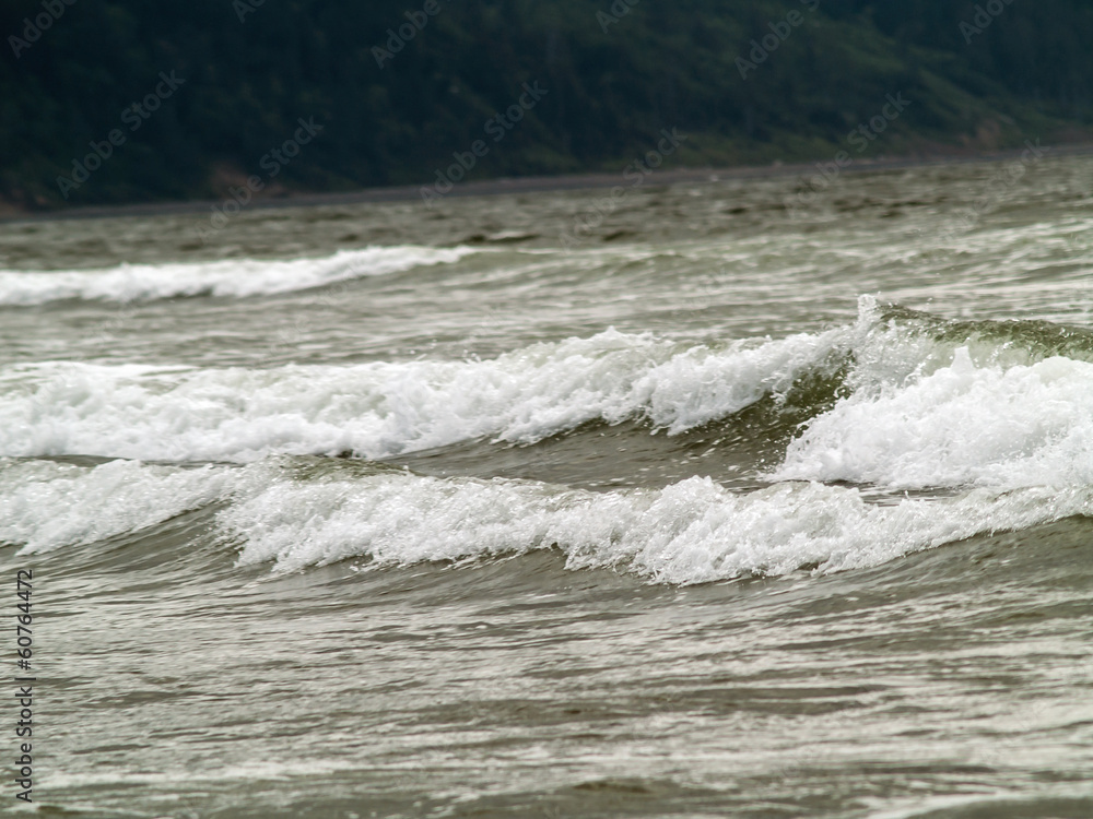 Waves Crashing on the Shore in Monochrome Waves Crashing on the Shore in Monochrome
