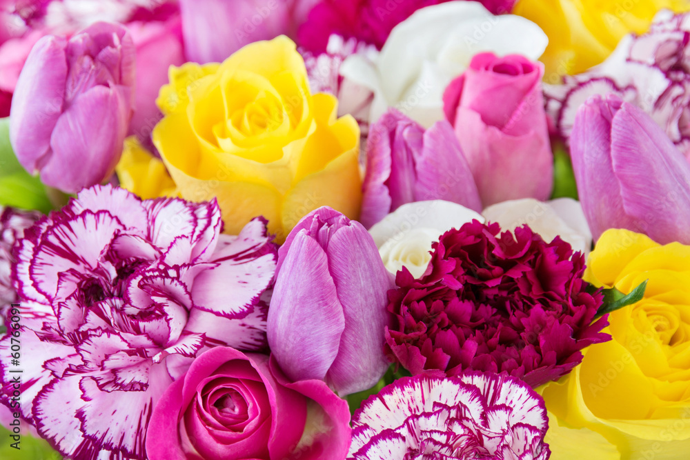 Blumen - Tulpen und Rosen - obrazy, fototapety, plakaty 
