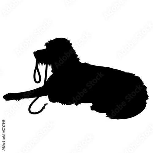 Shaggy Dog Silhouette