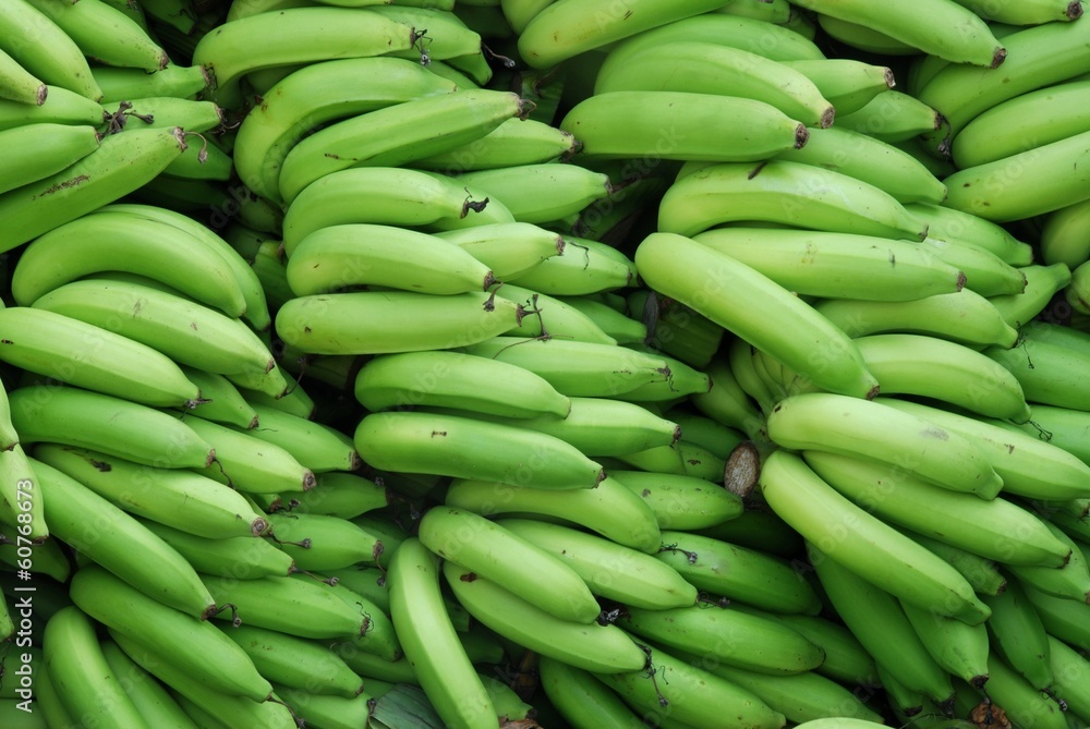 Banana delicious fruit of Thailand Banana delicious fruit of Thailand
