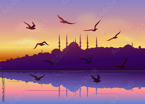 Martılar ve İstanbul