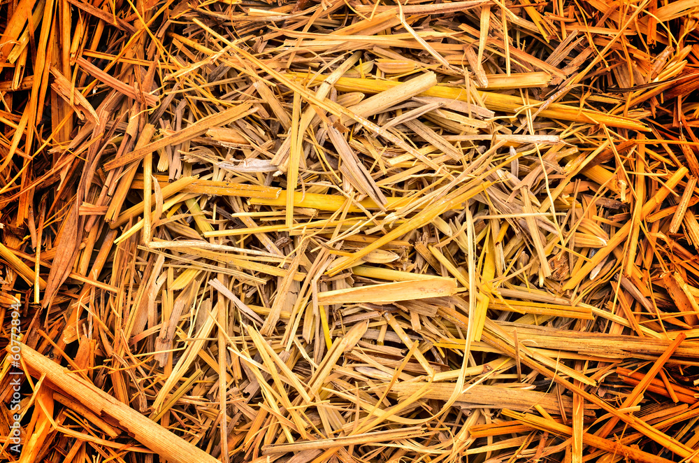 Dry straw macro shot Dry straw macro shot