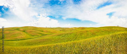 Panoramic view of rolling hills in Val d Orcia  Tuscany  Italy