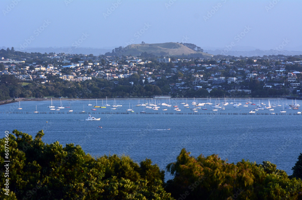 Auckland Cityscape - Mission Bay