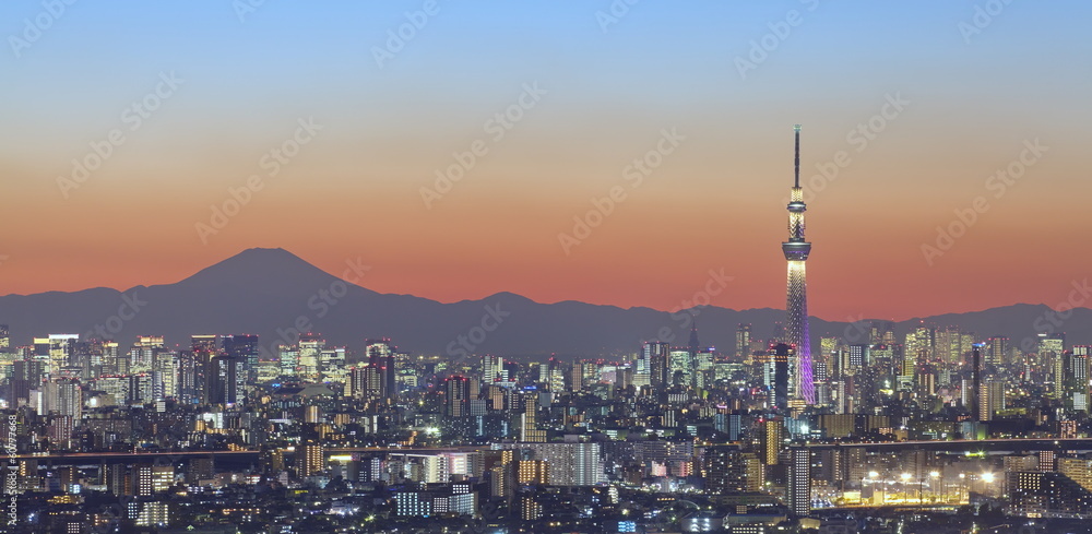 Fototapeta premium Tokyo city view and tokyo skytree with Mt Fuji