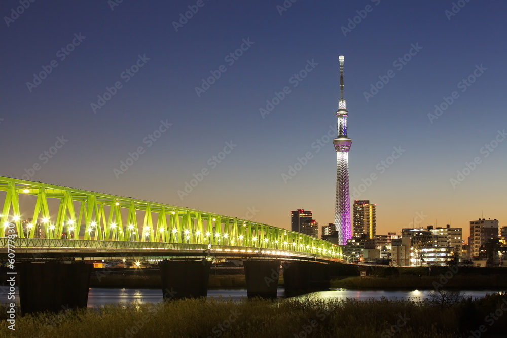 Fototapeta premium Tokyo city view and tokyo skytree , sihouette skyline
