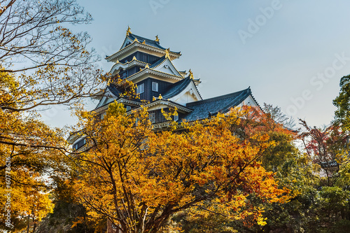 Okayama Castle in Japan