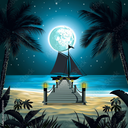 night beach