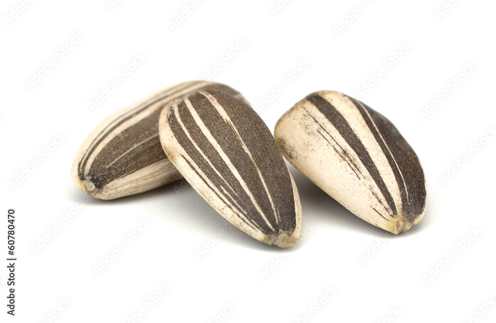 Sunflower seeds isolated on white background Sunflower seeds isolated on white background