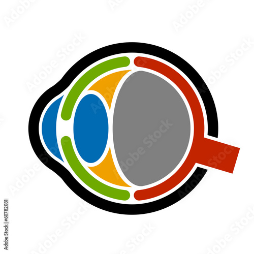 vector anatomy human eye icon
