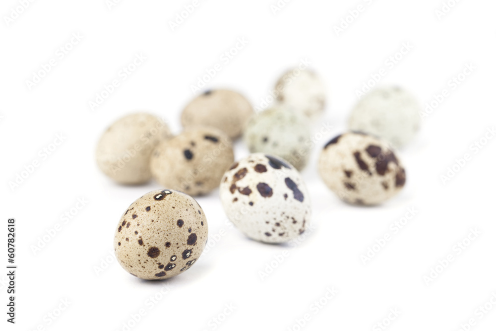 Quail eggs