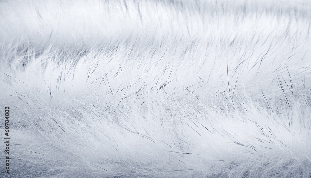 Obraz premium White fur background