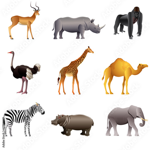 African animals vector set