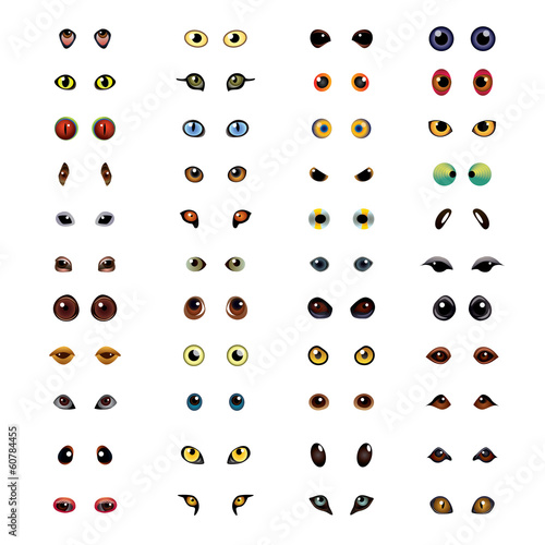 Animal eyes big vector set