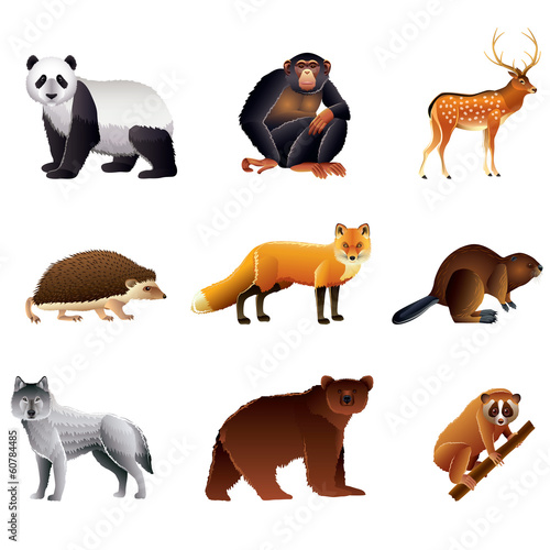 Asian animals vector set