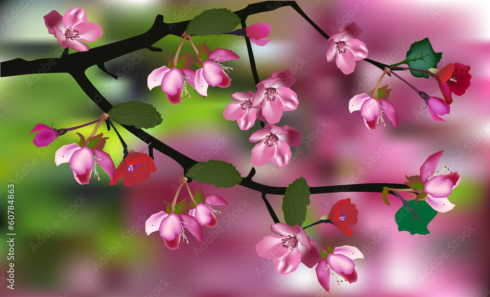 spring pink apple tree blossom illustration spring pink apple tree blossom illustration