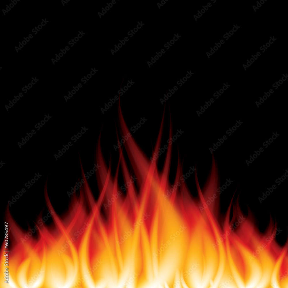 Burning fire on black vector illustration