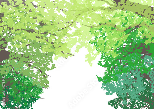 緑の木々