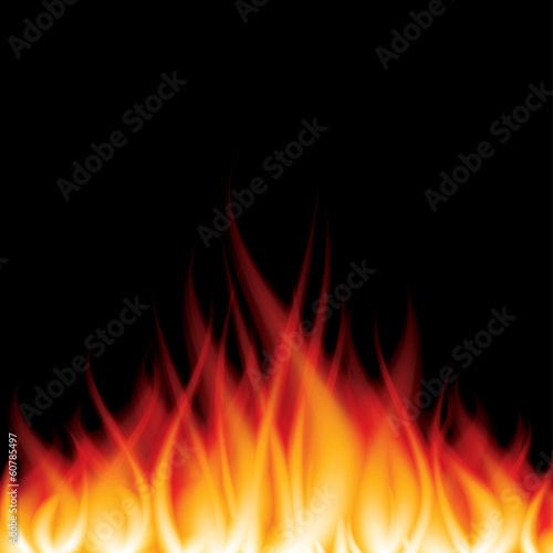 Burning fire on black vector illustration