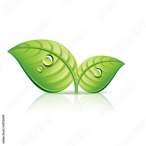 Green leaves ecology icon vector illustration