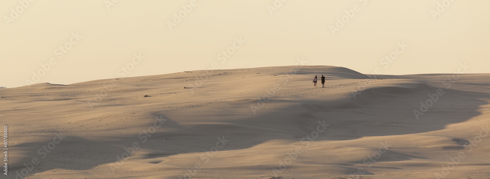 Sand dunes near Stockton Beach. Port Stephens. Anna Bay. Austral